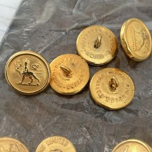 30 Metal Buttons Lions Vintage